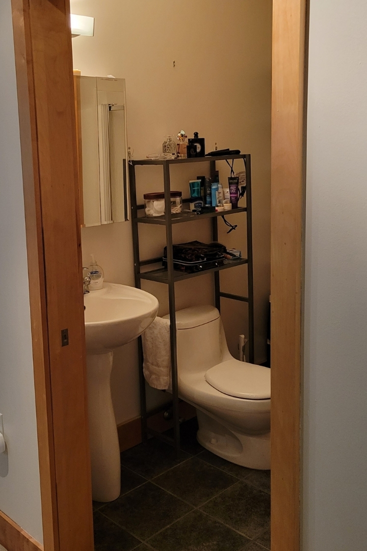 A Complete Condo Renovation in Madison, WI