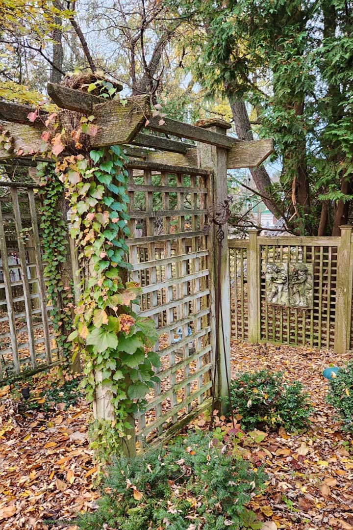 Small Pergola Remodel